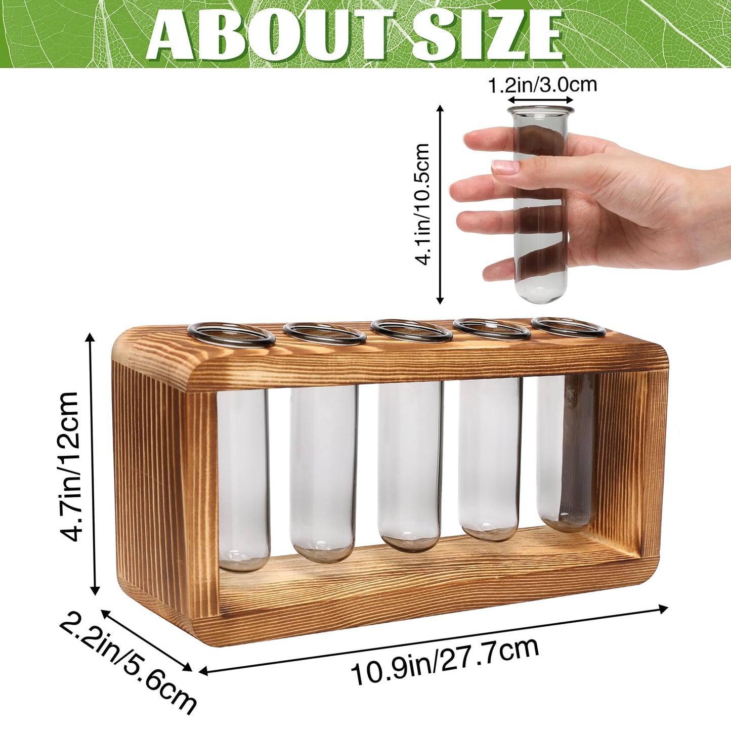 Glass Plant Propagation Station with 5 Test Tubes Colorful Planter Vase Birthday Gifts for Women in Wooden Stand