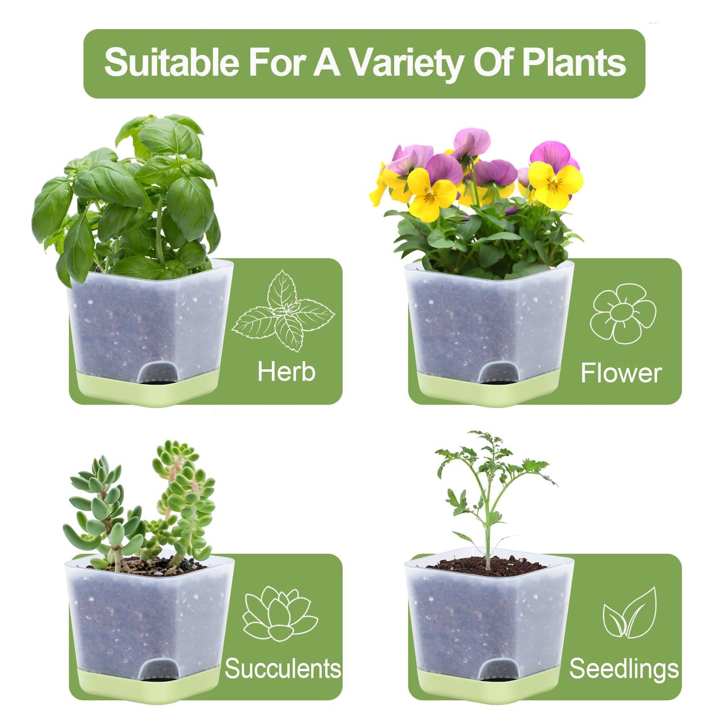 Oliz 20 Pack 3 Inch Plastic Succulent Pots with Drainage Holes & Saucers, Square Nursery Planters for Indoor Outdoor Plants, Half Clear Flower Pots
