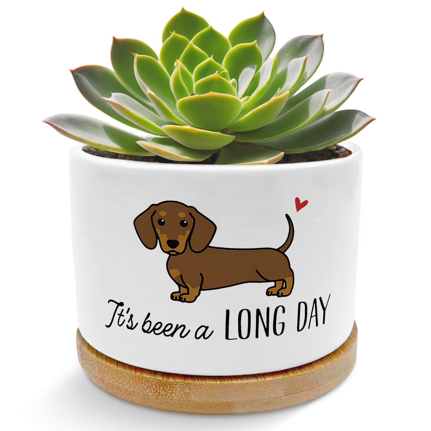 EVIHCG Funny Dachshund Dog Planter Pots, Dachshund Gifts for Women Men, Weiner Doxie Dog Lover Gifts Ceramic Succulent Plant Flower Planters for Home Office Desk Table Shelf(No Plants)