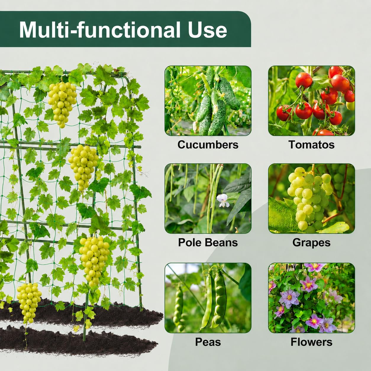 FOLLOOK Cucumber Trellis for Raised Garden Bed, Rustproof Metal Garden Arch Trellis for Climbing Plants Support Outdoor Fruit Grape Vine Vegetable Tomato Pole Bean Snap Pea Trellis, 48x48inch, Green