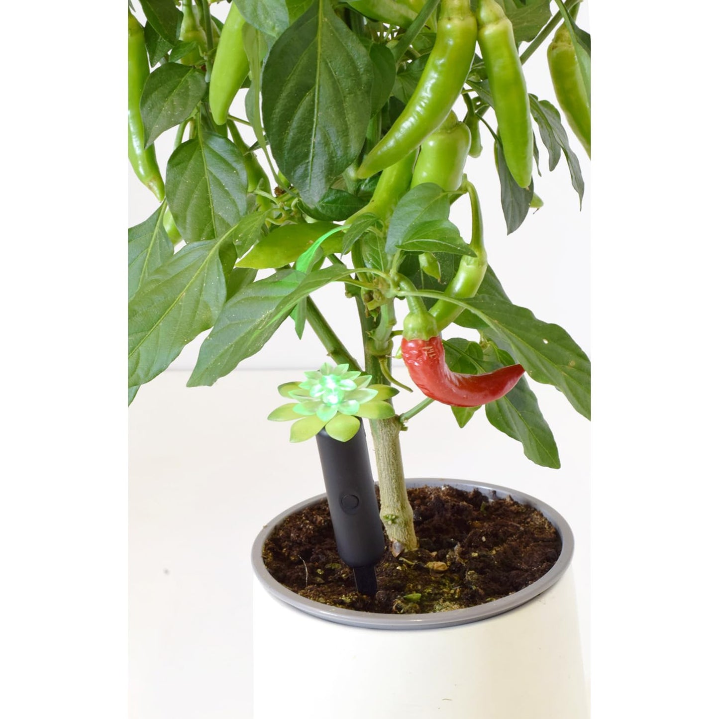 Wicked Waterer Tall Plant Alarm - Inserts 7" into Soil - Automatic Warning