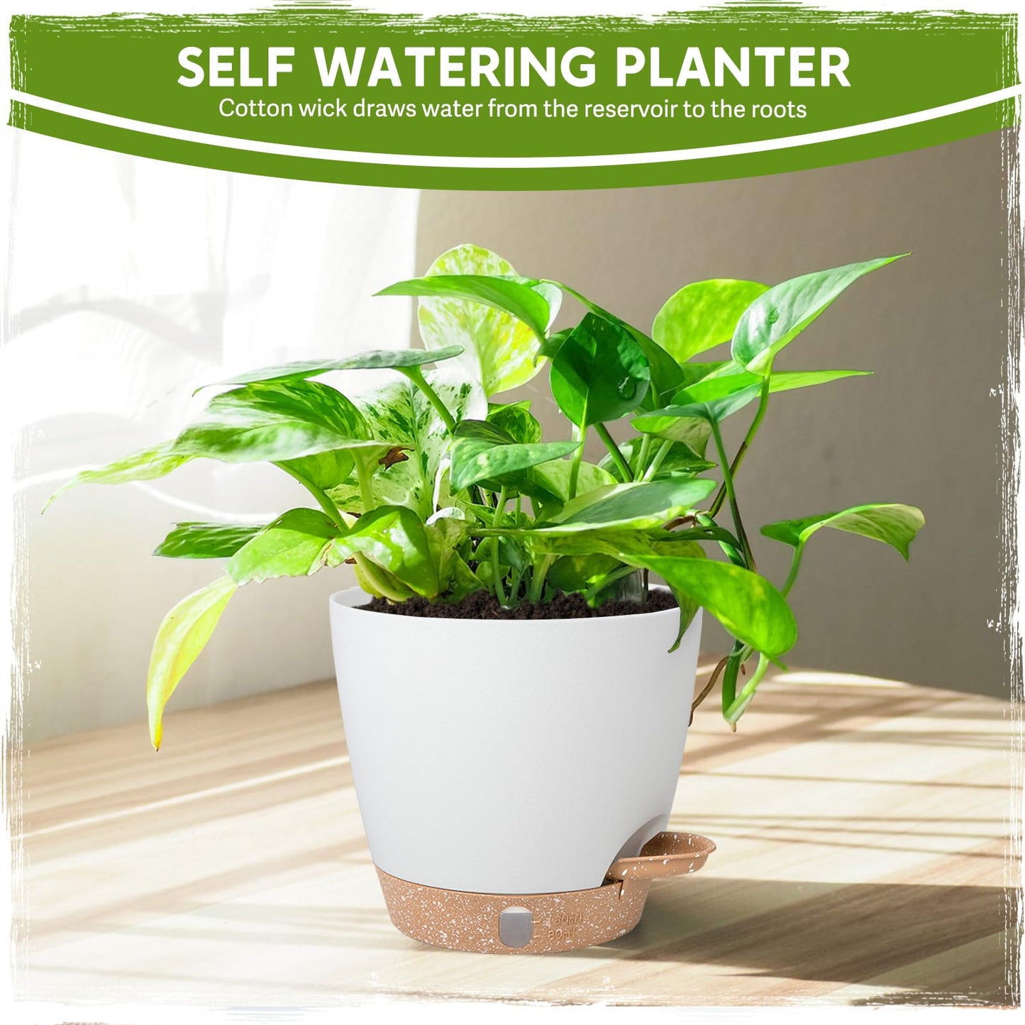 Goproauto Self-Watering Pots for Indoor Plants with Visible Water Window,5/6/6.5/8/10 Inch Outdoor Flower Pots with Drainage Holes & Reservoir for Patio, Home Decor (White)