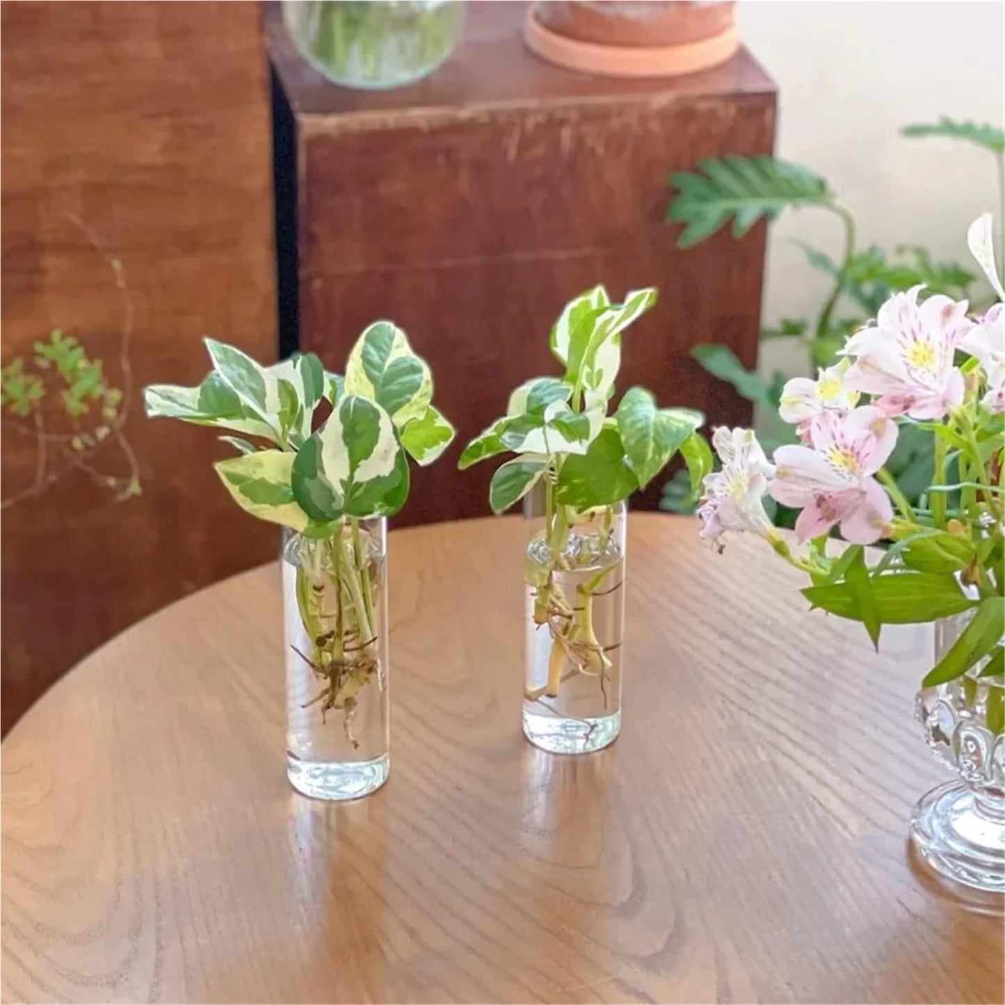 Glass Vase Vase 3Pack Wall Hanging Glass Planters Plant Terrarium Plants Holders Air Plants Wall Vase with Plastic Invisible Traceless Hangers(3Pcs Small)