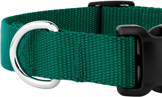 Country Brook Petz - Everyday Nylon Dog Collar and Leash - 10+ Cool Colors (1 Inch, Extra Large, Green)