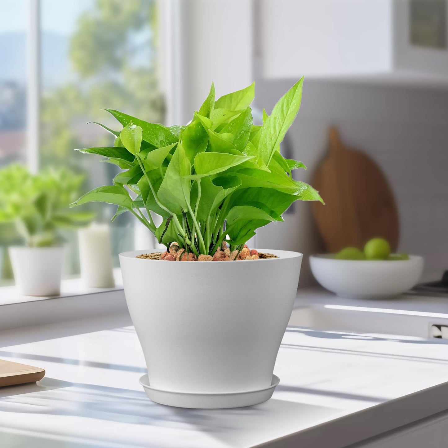 Meowell 6 inch Plastic Nursery Pots, 16 Pack Plant Pots for Small Indoor Outdoor Plants, Flower Pots with Drainage Holes and Saucers, Decorative Seedling Starter Planters for House Plants, White