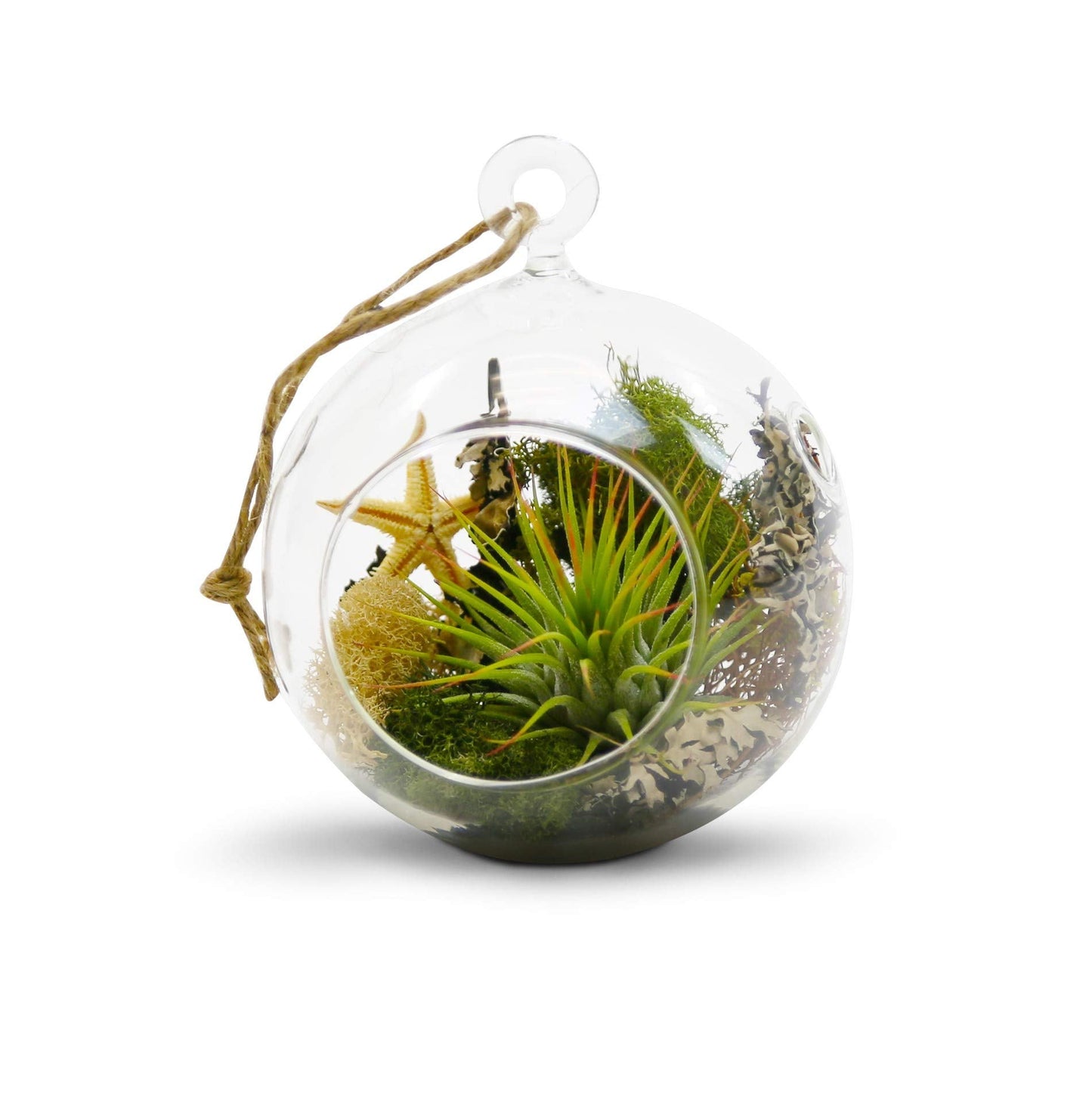 WGV Hanging Terrarium Globe, Width 4", Height 4.75", DIY Air Succulent Planter, Clear Glass Vase Orb with Flat Bottom, Candle Holder for Windowsill Outdoor Garden Decor, 12 Pieces Bulk