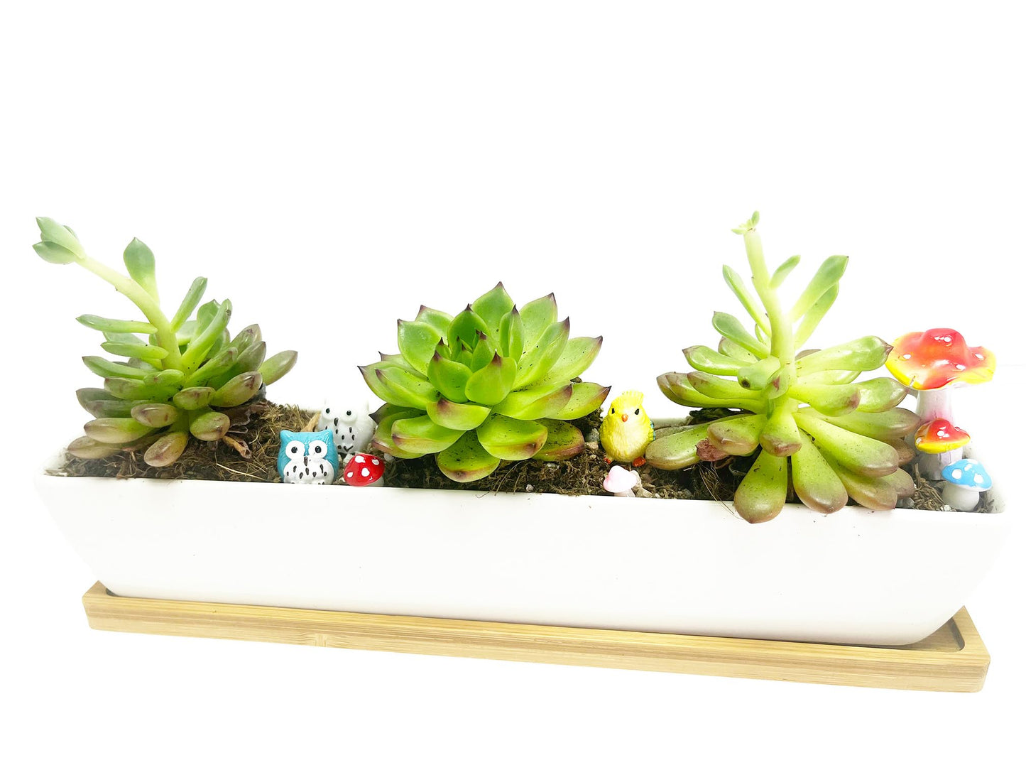 WISH HALLY WOOD White Ceramic Succulent Planter Pots,2 Set of 11inch Long Rectangle Flower Plant Containers with Bamboo Saucers.