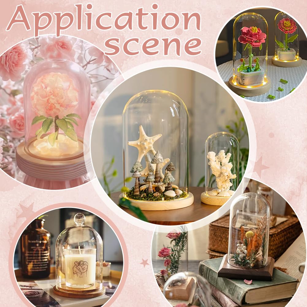 PH PandaHall Glass Cloche Display Dome 5.6x10.9inch Wooden Base Bell Jar Cover Clear Terrarium Display Cloche Bottles Storage Case Decorative Centerpiece Stand for Plants Flower Succulent Home Decor