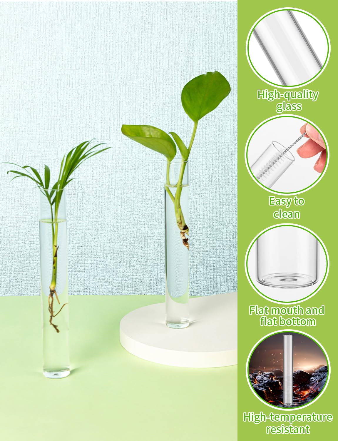 8 Tube Glass Plant Propagation Stations Clear Glass Test Tubes Tiered Planters Accessories for Home Office Plant Hanger Flower Vases Wall Decor Hydroponic Cuttings Clear Vases