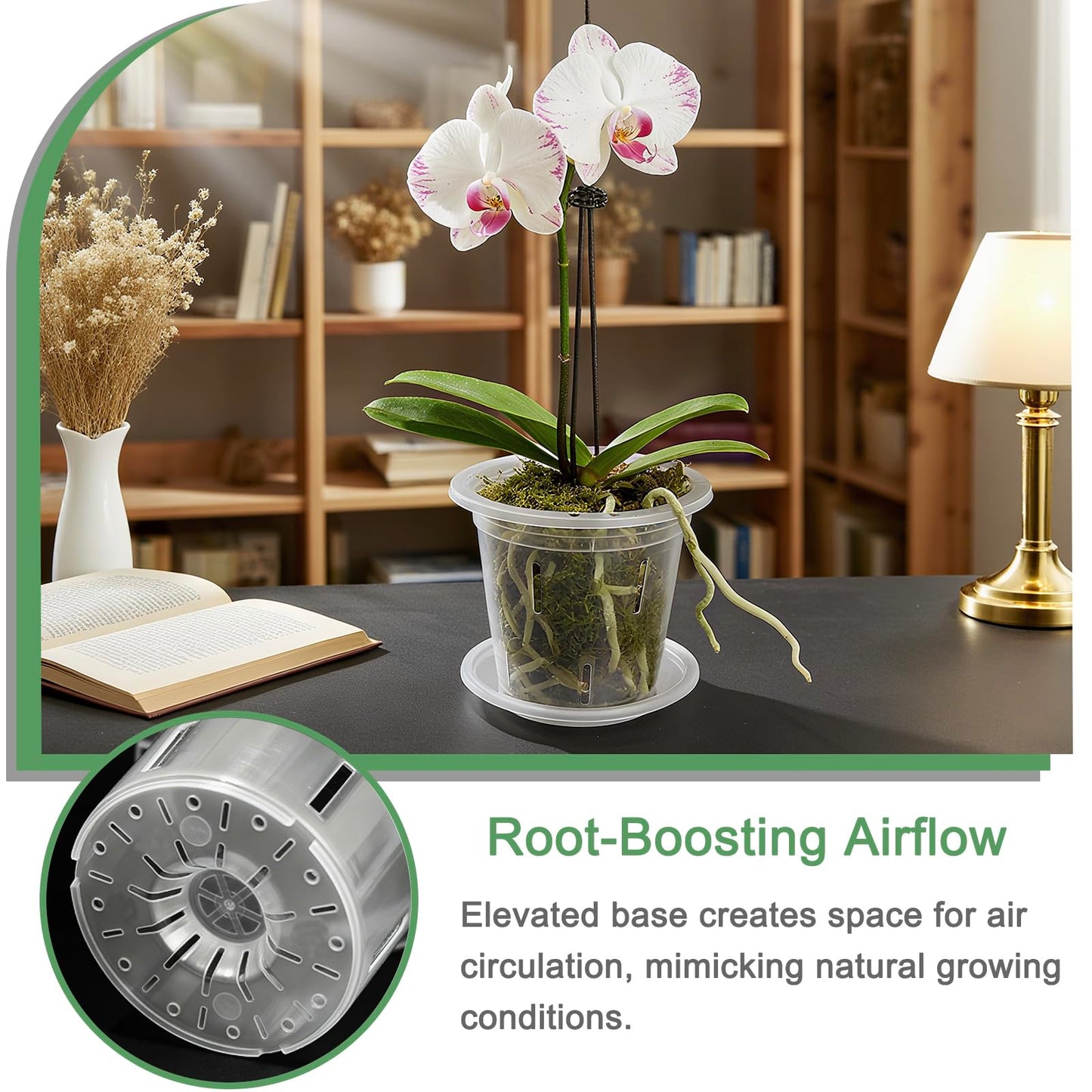 CHTASO 10 Pack Clear Orchid Pots with Holes, 6.7 Inch Slotted Plastic Planters for Repotting, Breathable Flower Pots for Indoor Outdoor Plants, Promotes Healthy Root Growth