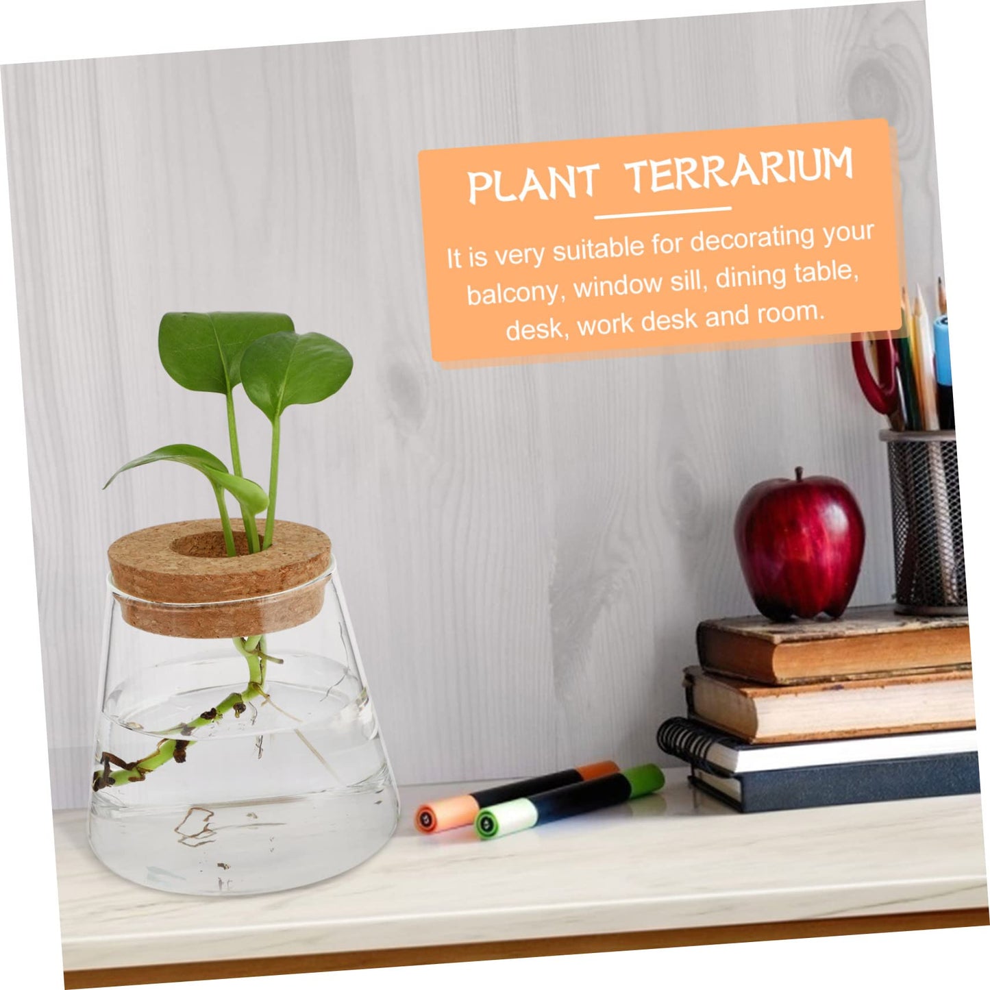 VALICLUD 2Pcs Glass Hydroponic Planter Vases Elegant Desktop Terrarium for Home Decoration Floral Arrangements for Indoor Plants and