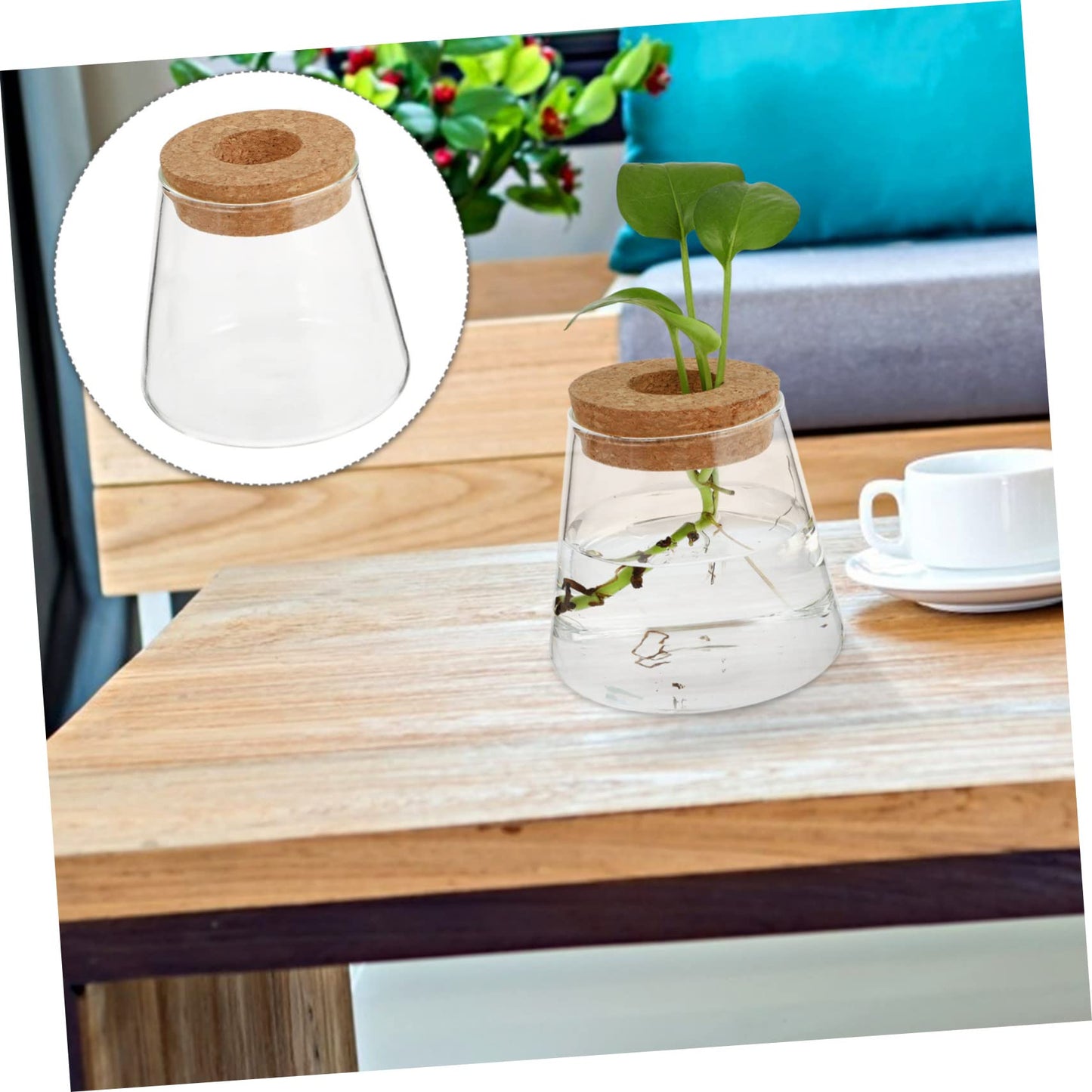 OUNONA 2Pcs Desktop Glass Hydroponic Chic Transparent Vases for Home Decor Stylish Terrarium for Indoor Plants for Office Garden Aesthetics