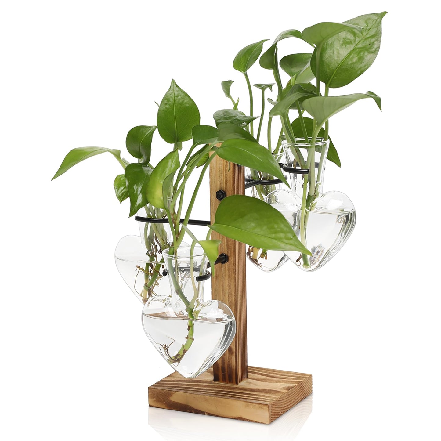 CYZglass Plant Terrarium Propagation Stations with Wooden Stand, Glass Vase for Indoor Hydroponics Home Garden Office Decoration Gift for Women - 4 Love Bulb Vase