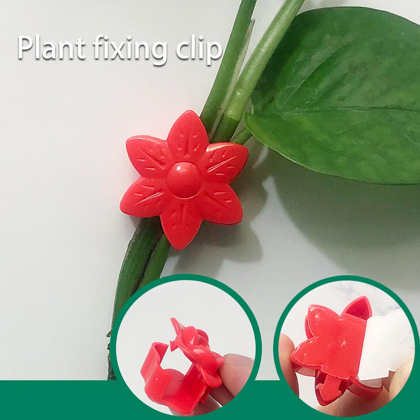 RENUIS 100 Pcs Plant Wall Clips with Acrylic Adhesive Sticker, Plant Climbing Wall Fixture Clips, Plant Support Clips, Self-Adhesive Hook Vine Plant Clips for Indoor Outdoor Decorations (Rose-Orange)