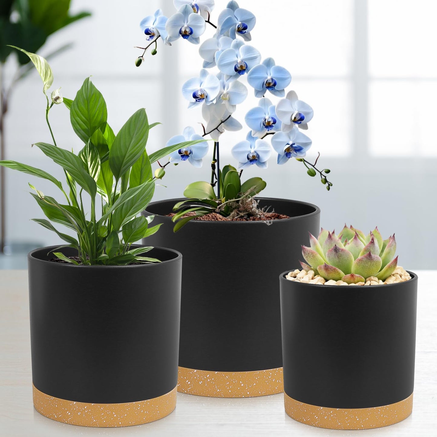 WSMKSZ 3 Pack 6/5/4 inch Cylindrical Flower Pots, Modern Small Round Plastic Plant Pots with Drainage Holes & Saucers, Clean and Refined Planter Pots for Outdoor, Indoor & Office Decor (Black Brown)