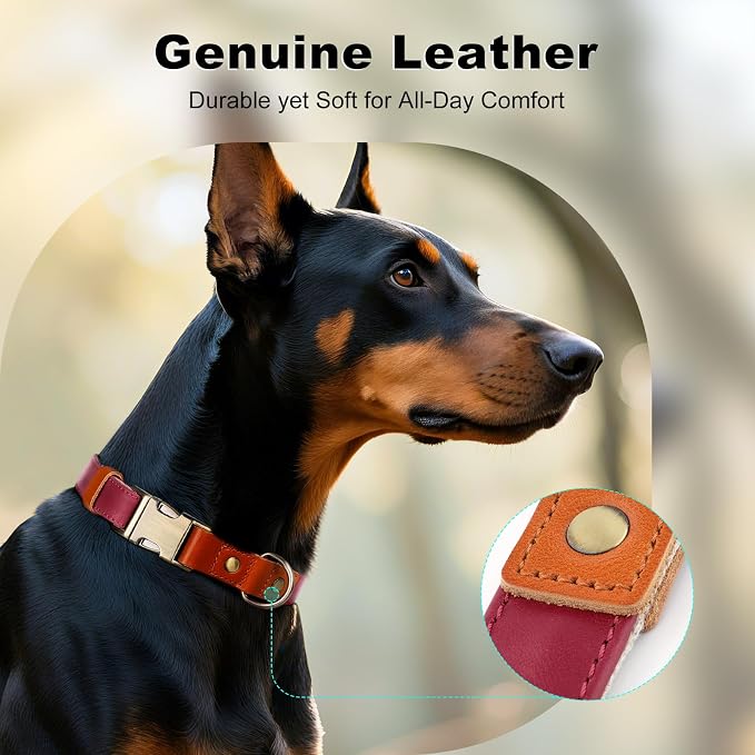 Plutus Pet Genuine Leather & Hemp Dog Collar – Adjustable Heavy Duty Pet Collar with Quick Release Metal Buckle, Soft & Stylish for Puppy and Small, Medium, Large Dogs (Burgundy, M)