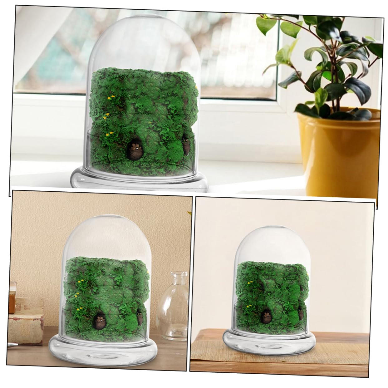VICASKY 2pcs Glass Eco Bottle for DIY Micro Landscape Terrarium Container for Plants Decorative Desk Ornament Glass Display for Miniature Gardens