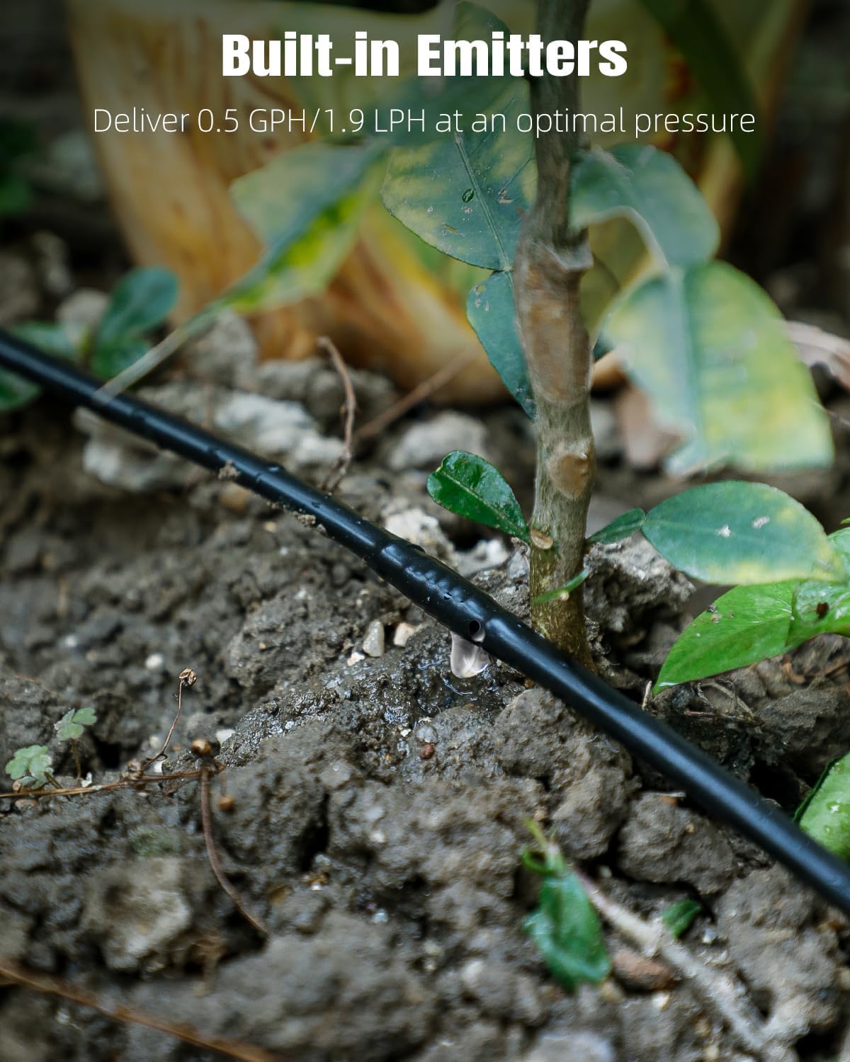 Pawfly 100 ft 1/4 Drip Irrigation Tubing, 1/4" Emitter Tubing with 6" Spacing, Polyethylene Drip Line with 12 Parts, Black Distribution Tubing for Drip Irrigation System, Drip Irrigation Hose Roll
