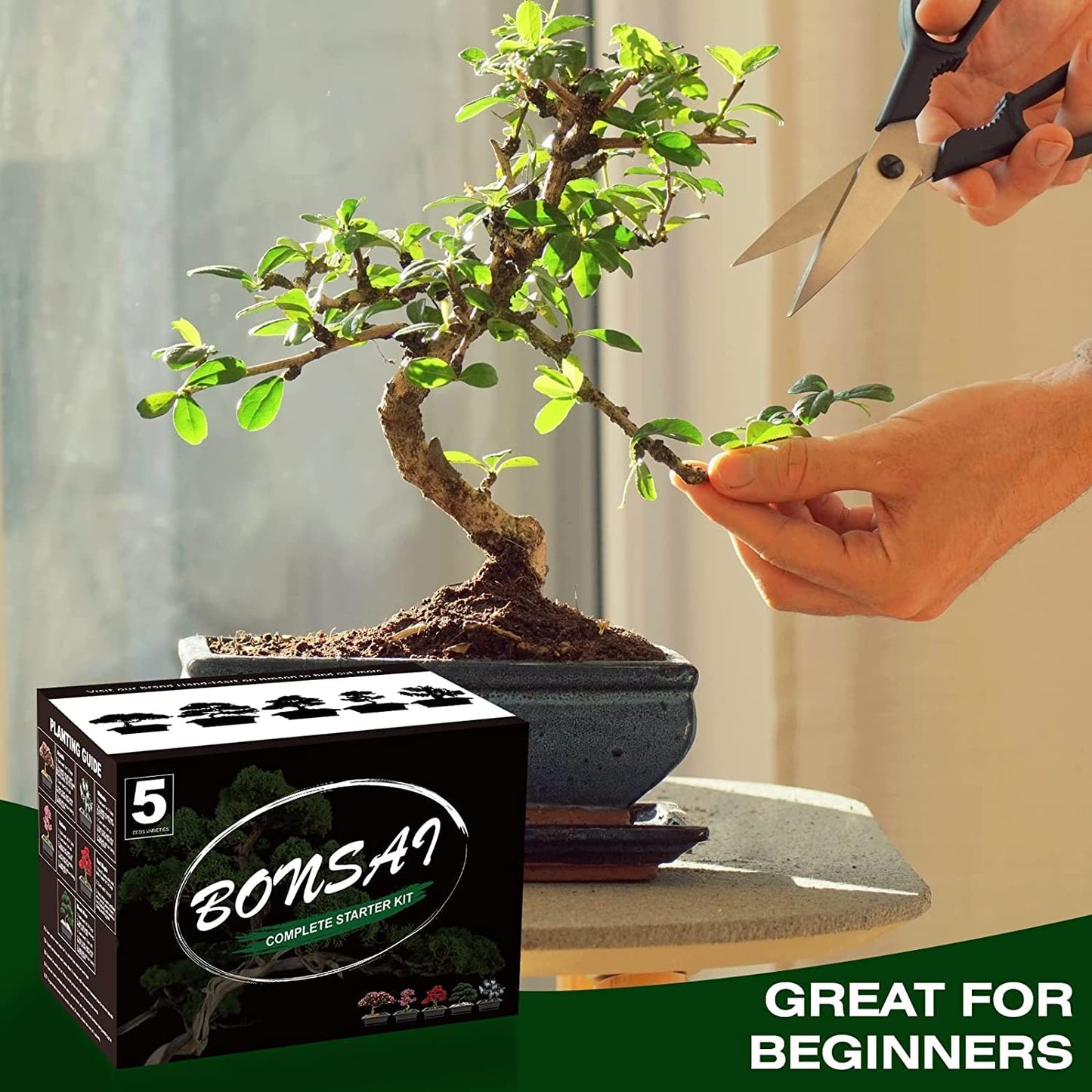 Meekear 5 Bonsai Tree Kit Complete Plant Growing Tools, Grow in Pot Indoor Bonsai Tree Starter Kit, Great Home Gardening Potted Plants DIY Gift for Adults