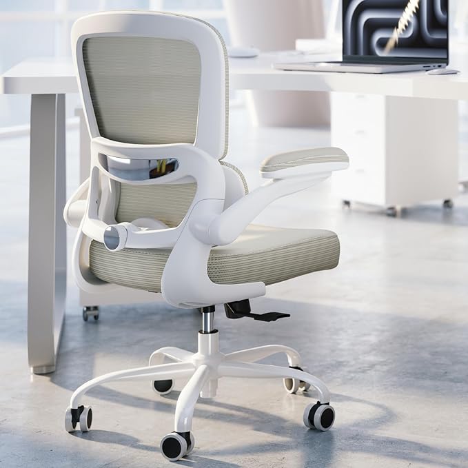 TRALT Ergonomic Office Chair