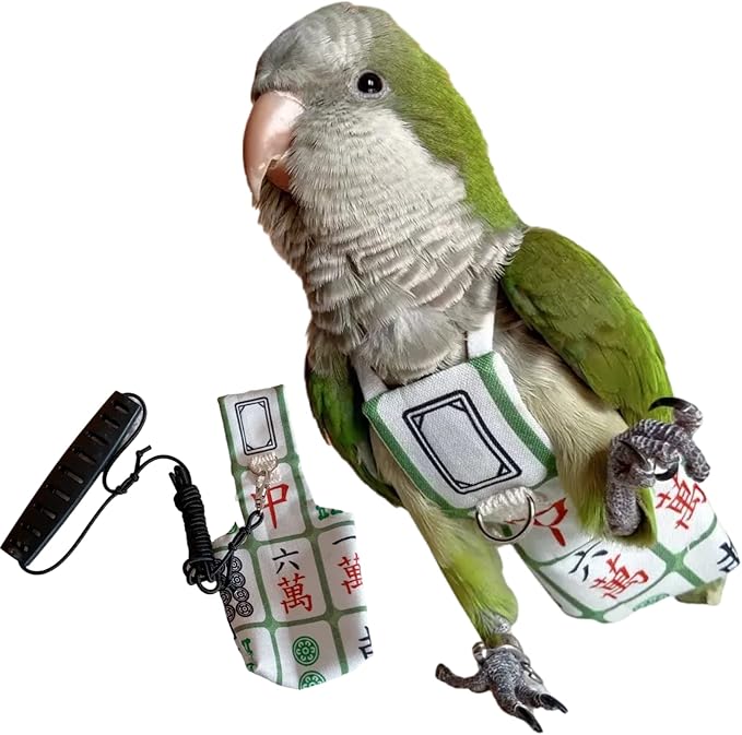 Bird Diaper Harness Flight Suit Clothes, Parrot Flight Suit with Leash for Parrot, Bird Flying Clothes with Rope and Handle for Outdoor Activities Training (with Leash,Senegal)