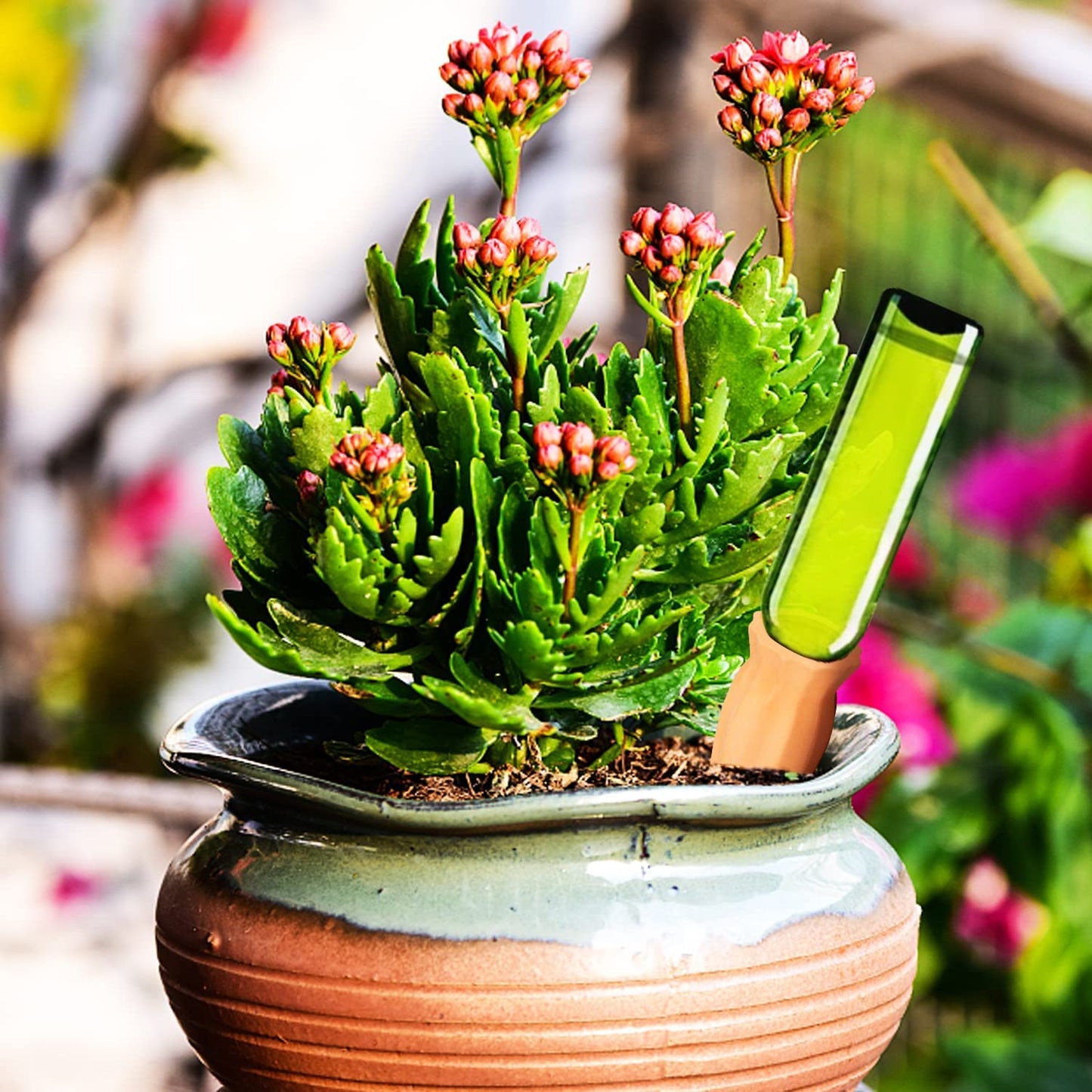 Tcamp 8Pack Plant Self Watering Spikes, Terracotta Plant Watering Devices Wine Bottle Plant Self-Watering Stakes for Indoor Outdoor Plants
