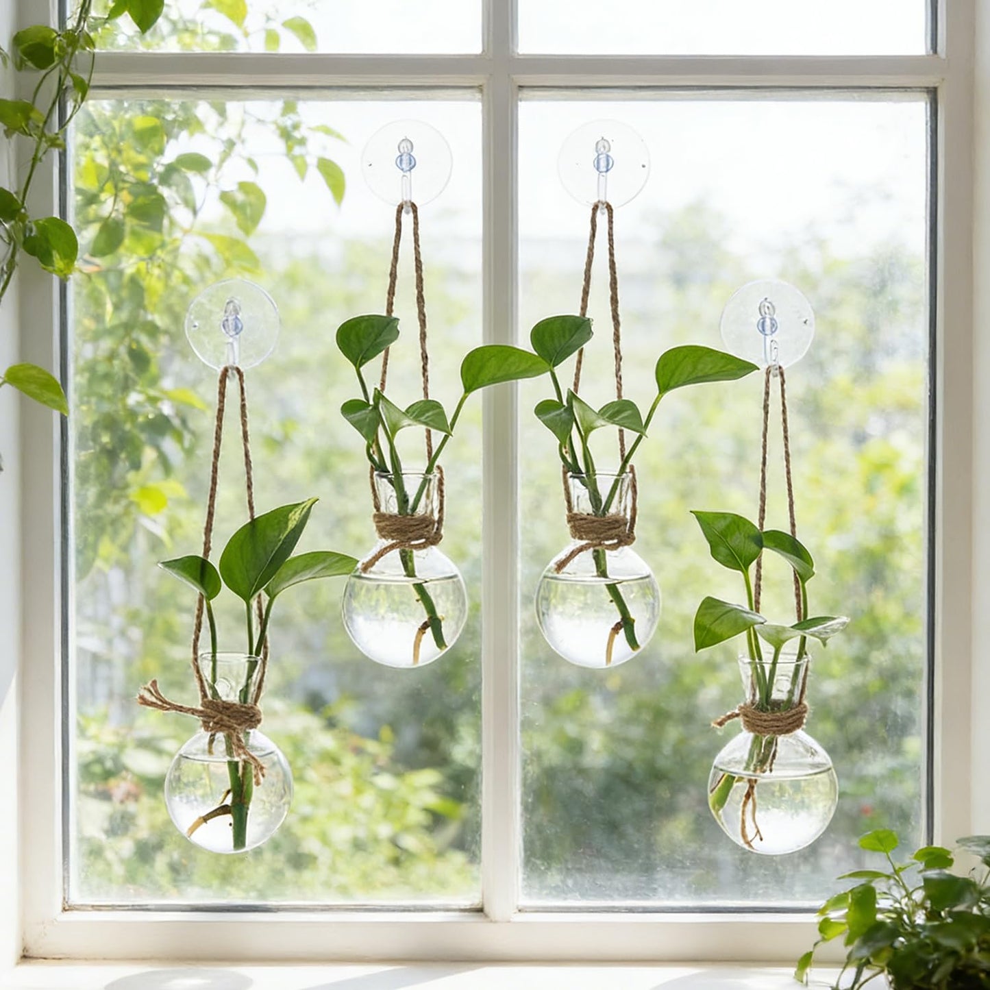 Bunmery 4 PCS Window Propagation Stations, Glass Plant Propagation Bulbs Vases with Suction Cups & Traceless Nails, Easy to Install Window Wall Hanging Planter Terrarium Vase for Home Office Decor