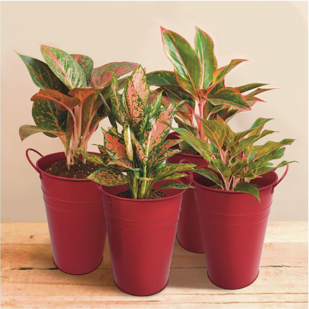DAHO 4 Pack 9 Inch Tall Metal Planters with Handles, Flower Vases, Farmhouse Rustic Buckets for Home Decor, Garden, Patio, Party, Wedding Decorations, Farmhouse (Red, 9.06")