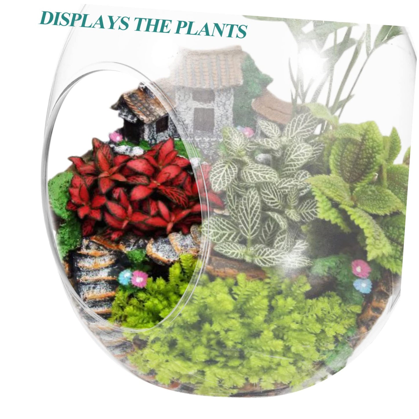 Totority Shape Moss Bottle Glass Terrarium for Plants Landscape Container Decorative and Functional Water Vase for Home and Garden