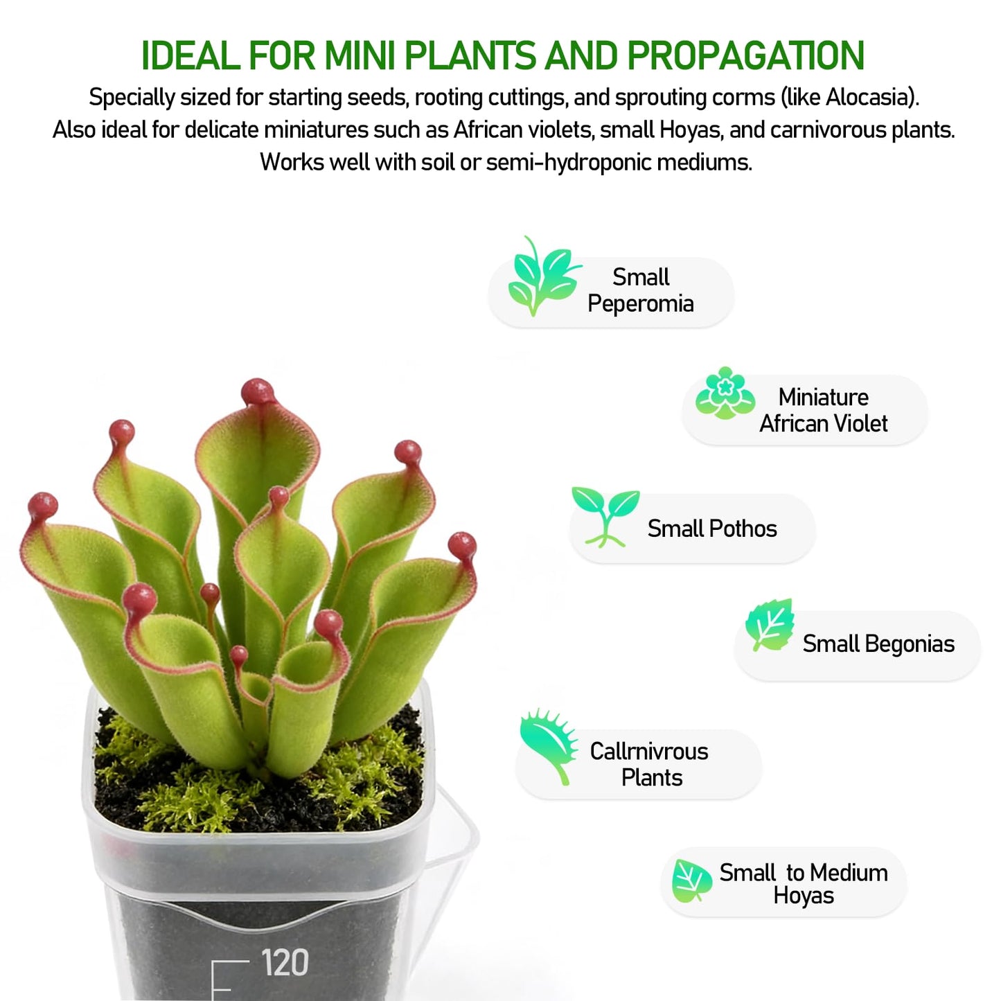 Zarique 8 Pack 2 Inch Self-Watering Plant Pots, Clear Plastic Planter with Water Level Indicator for Propagation, African Violets, Seedlings, Cuttings, with Drainage Hole