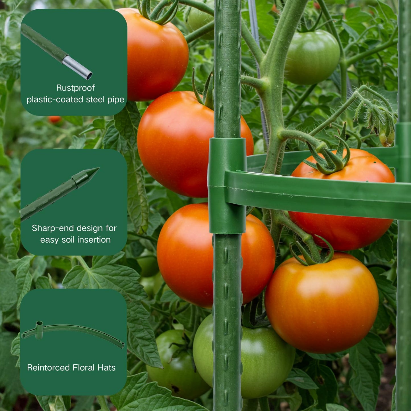 Wikdey Tomato Cages for Garden&Pots, 2 Pack 50" Plant Support Trellis for Tomatoes, Cucumbers, Beans | Heavy-Duty Steel with Rust-Proof Coating | Garden Stakes for Outdoor Indoor Plants