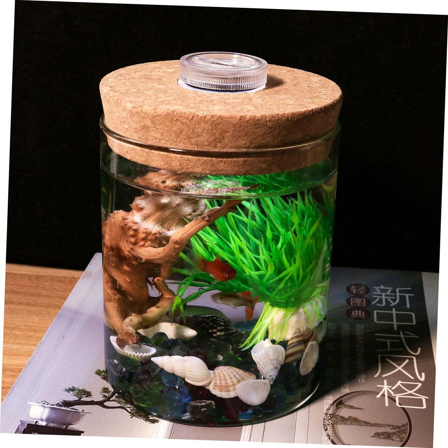 Ciieeo Cylinder High Borosilicate Glass Moss Plant Bottle Creative DIY Microlandscape Terrarium Holder for Indoor Decoration Mini Fish Tank