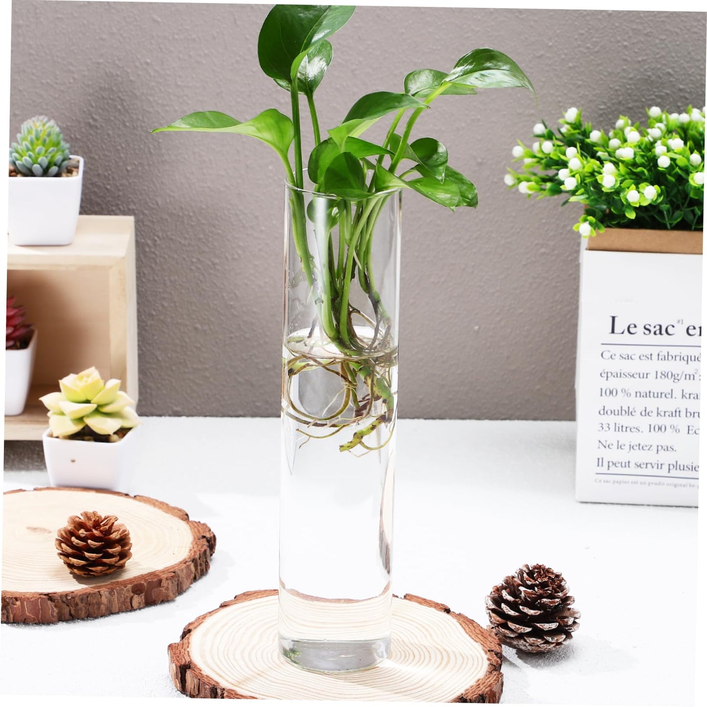 ibasenice 2pcs Hanging Propagation Planters Wall Mounted Flower Tube Vase Glass Terrarium Plants Holder Wall Vase for Flowers