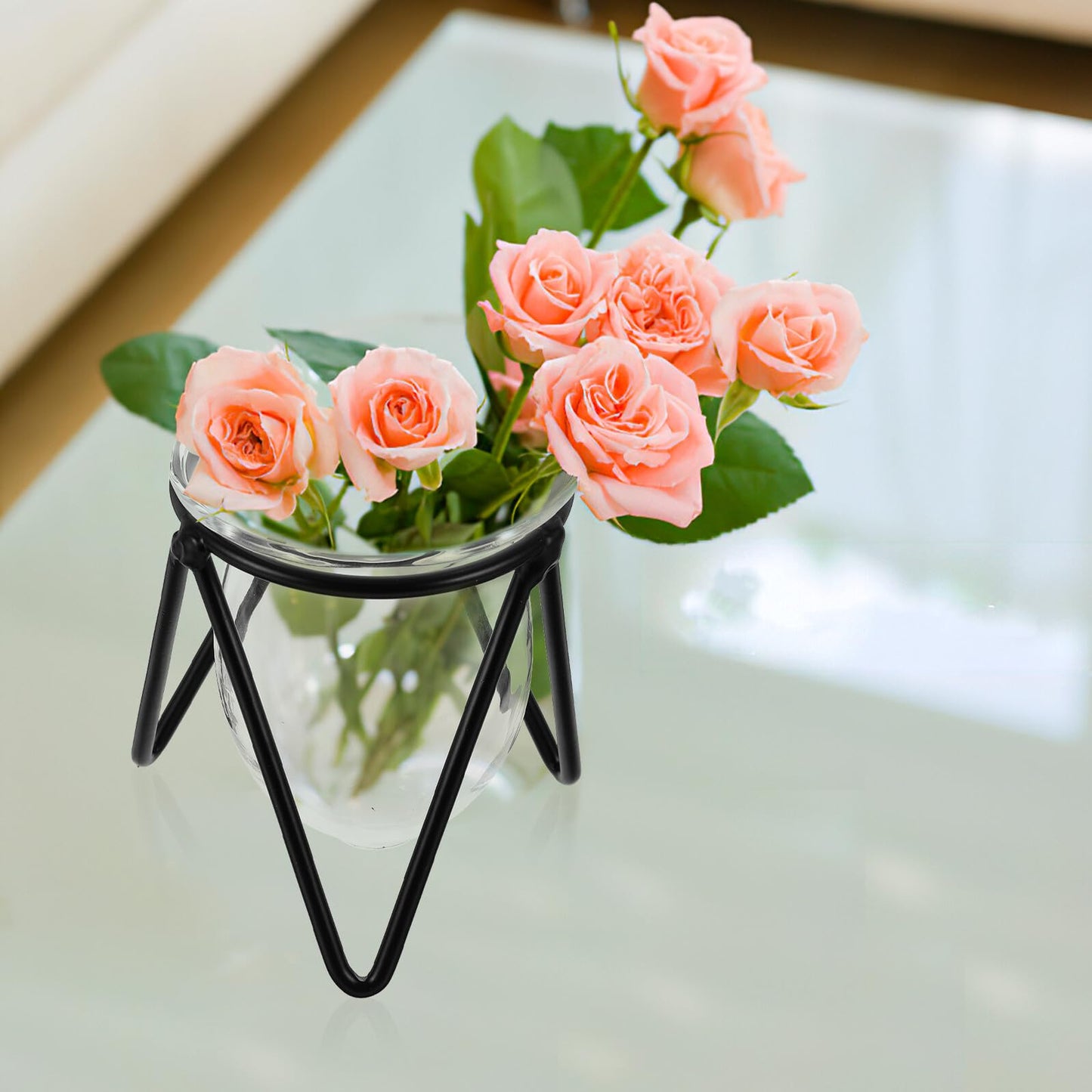 Garneck 6pcs Black Metal Stand Hydroponic Glass Flower Vases Set, Modern Small Desktop Plant Terrarium for Home Décor and Indoor Water Plants