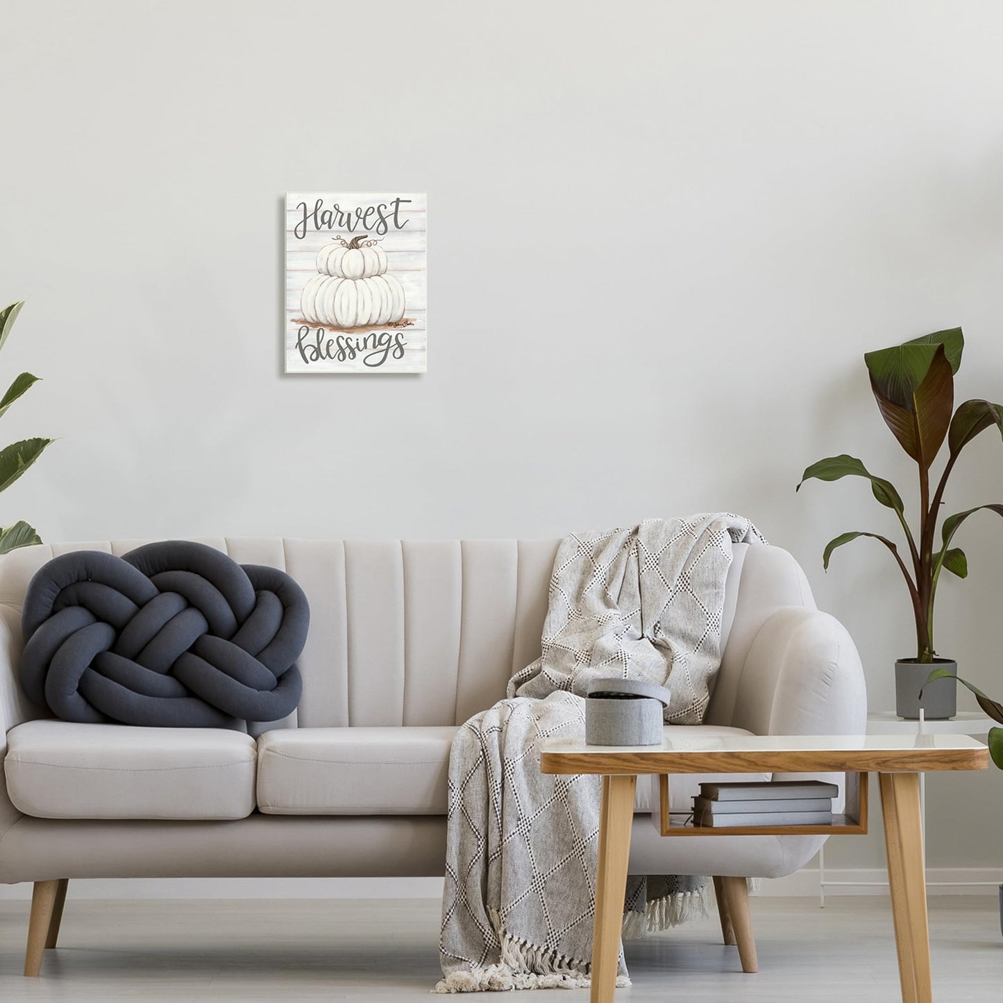 Stupell Industries 'Harvest Belssings White Pumpkins', Wall Plaque Art, 10 x 15 Inches, Easy to Hang and Sturdy, Made in USA, by Sara Baker