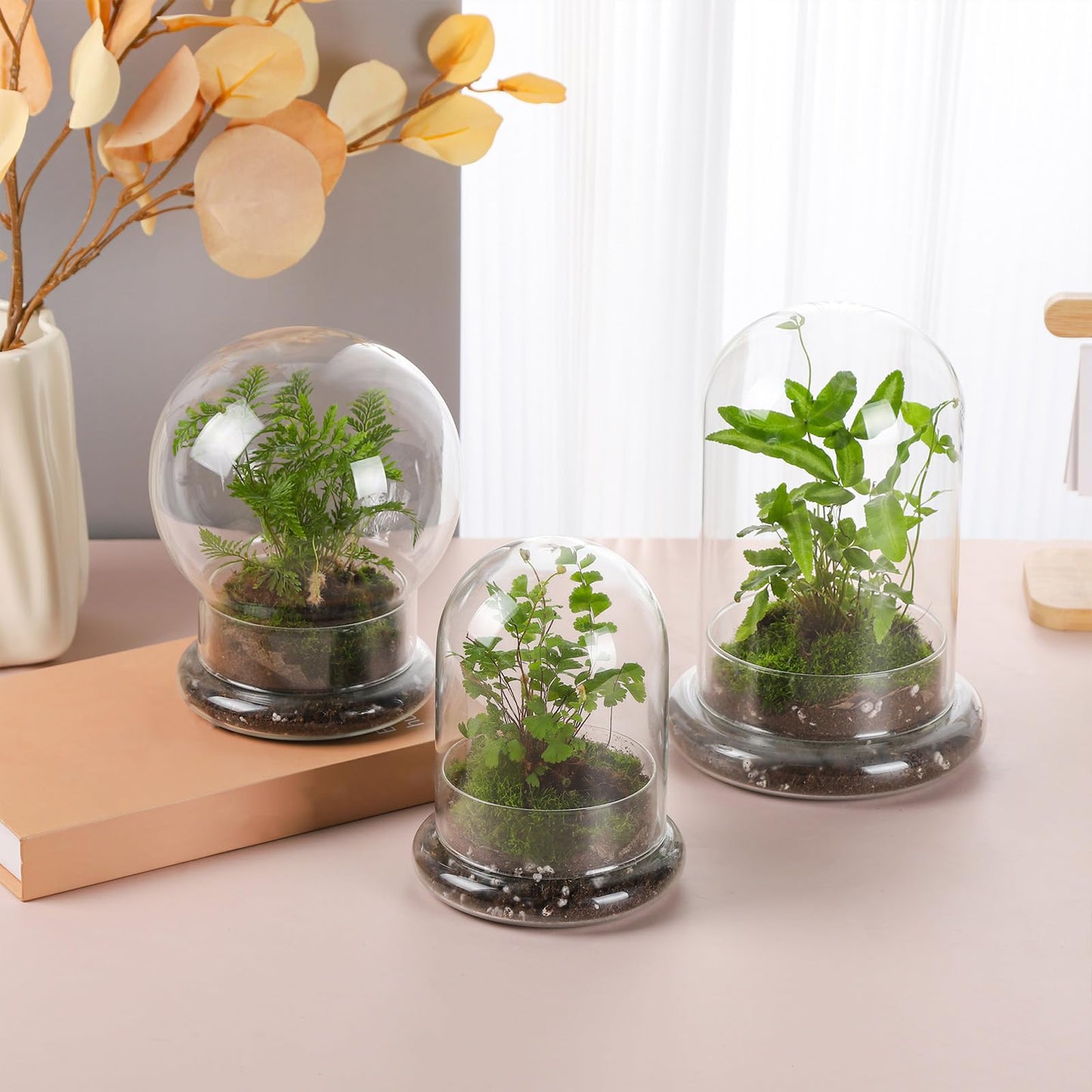 WHJY Round Glass Cloche for Indoor Plants Small Terrarium Glass Cloche with Base Mini Cloche Dome with Base for Display Home Decor