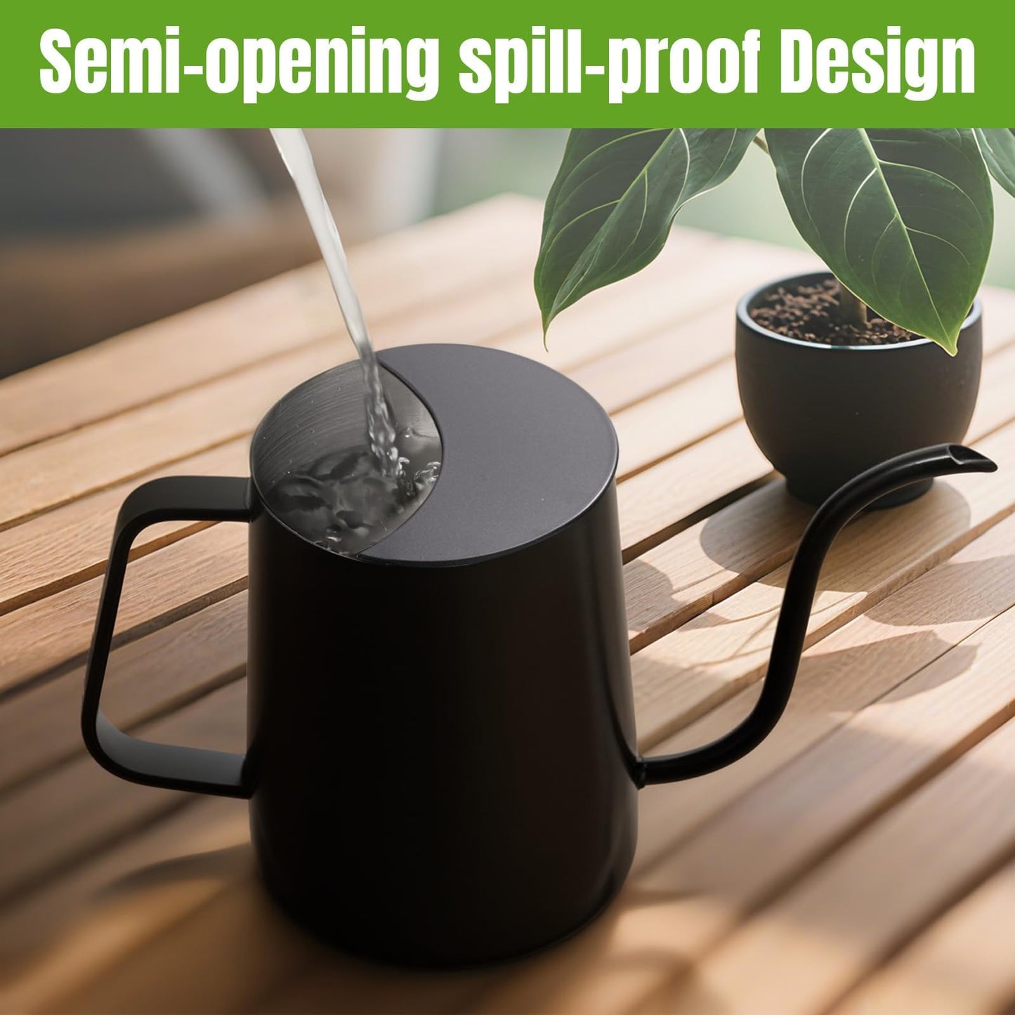 Lizhluzh 34 oz / 1000 ml Watering Can Indoor Plants, Stainless Steel Plant Watering Can with Long Spout (Black)