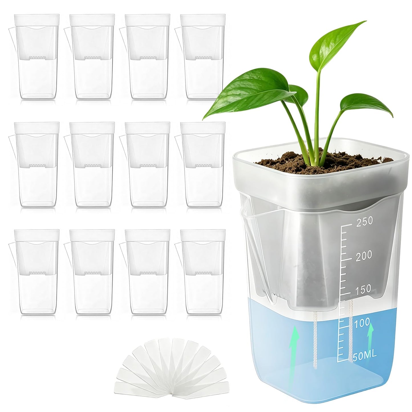 Lwuey 12 Pack 2.5" Self Watering Propagation Pots - Clear Plastic Seed Starter Cups, for Seedlings, Cuttings, Succulents, Herbs, Vegetables, 12 Plant Labels Included for Indoor Plants