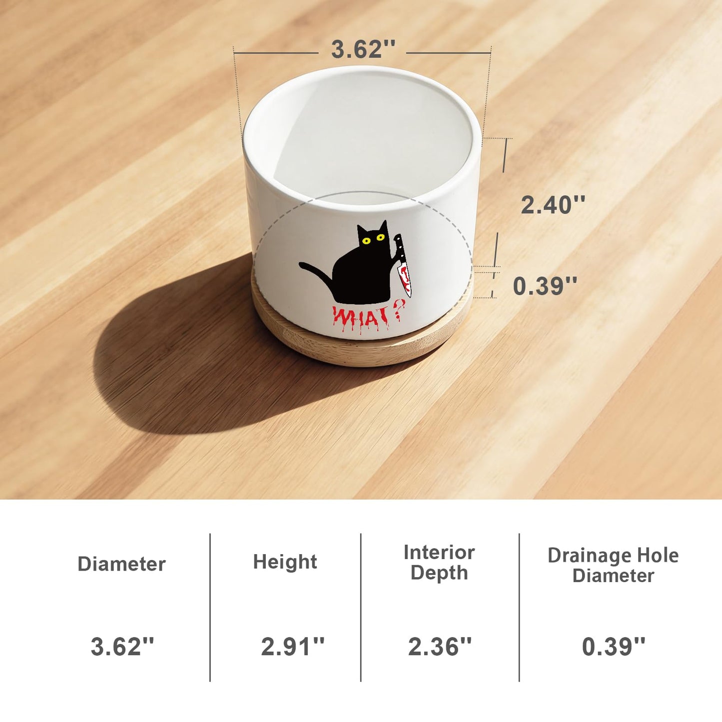 Funny Hello Black Cat Ceramic Plant Pot for Succulent, Cute Cat Cactus Flower Planter for Windowsill Indoor Decor, Home Office Decoration for Plant Lovers Friends Owner Lover (No Plants) (What)