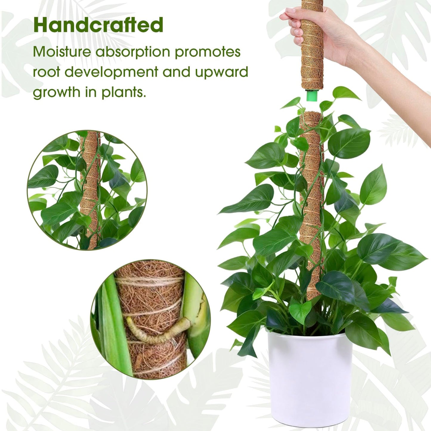 4 Pack 20 Inch Moss Poles, Stackable Moss Pole Monstera Plant Support, 66 Inch Tall Plant Stakes for Climbing Plants Indoor, Coir Plant Support Stick Stand for Potted Plants, Pothos, Philodendron