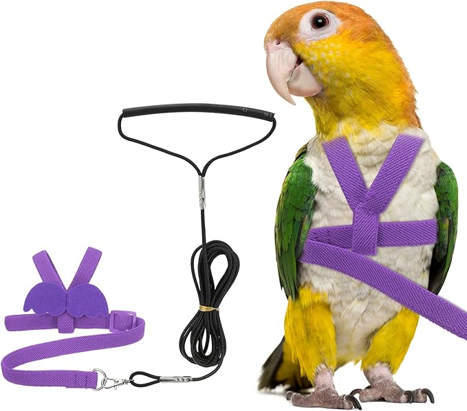 Bird Harness Leash, Adjustable Pet Parrot Bird Harness and Leash Lightweight Anti-Bite Flight Training Rope with Cute Wing, (Purple, L), Intended for Parrots/Pigeons/Budgies