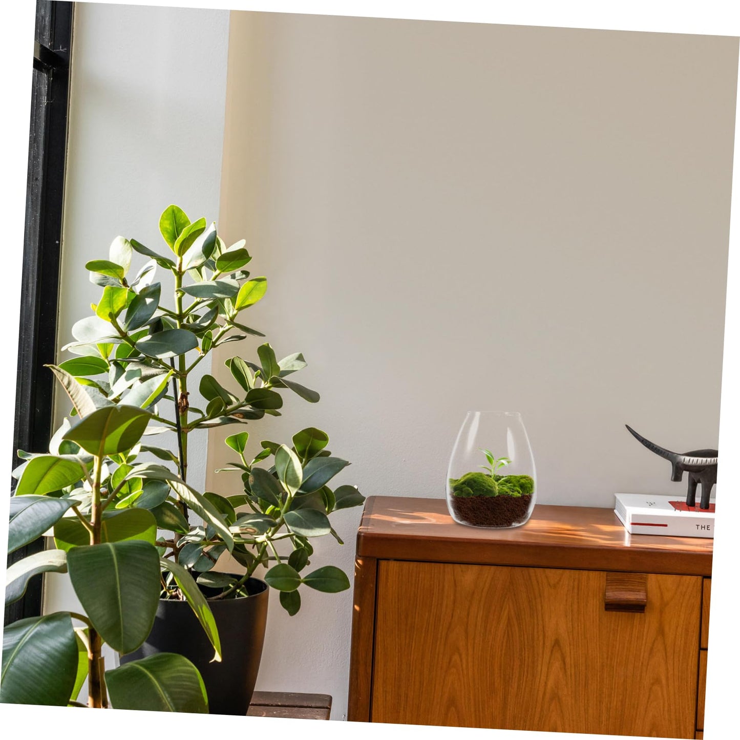 SOLUSTRE Glass Planter Bottle Micro Landscape DIY Bottle Plant Holder for Terrarium Propagation Vase Plant Terrarium