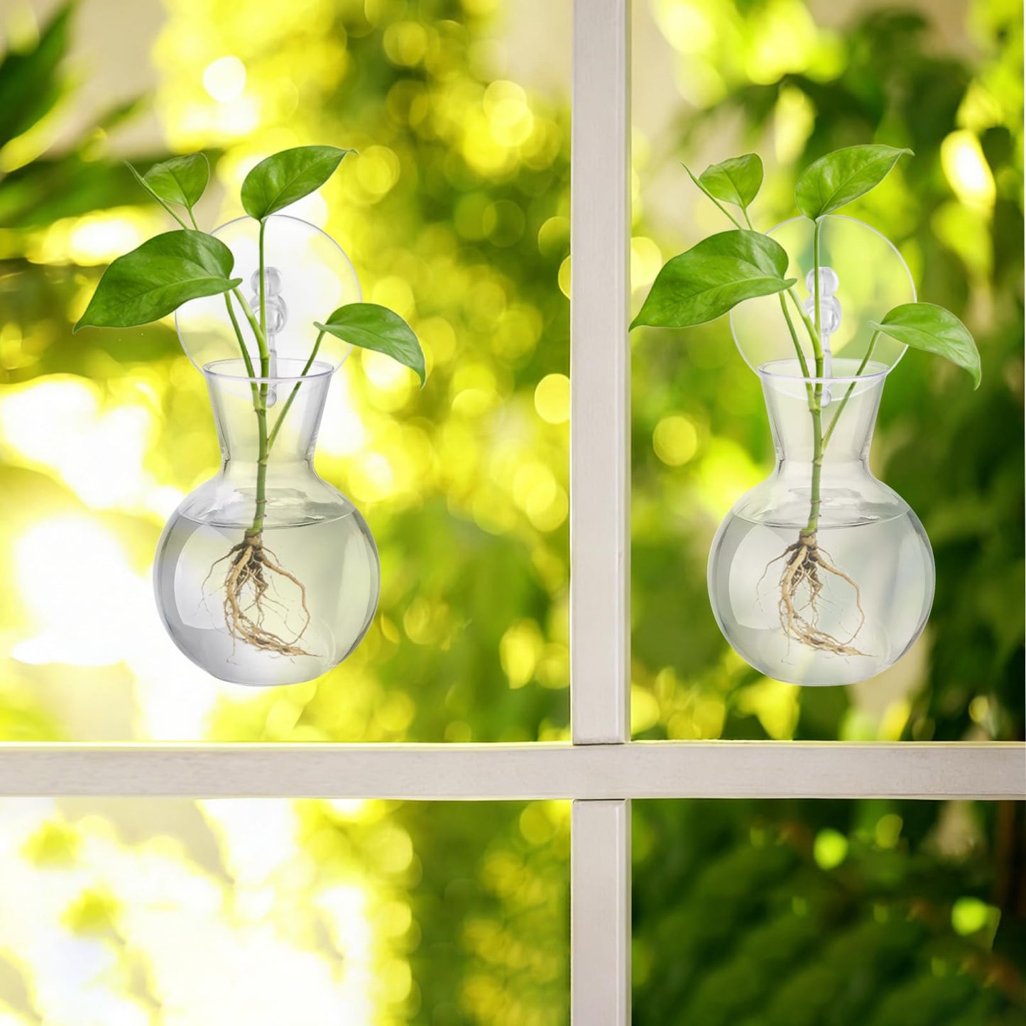 Doodlream 12PCS Wall Hanging Propagation Stations, Glass Planting Vases with Suction Cups and Cleaning Brush, Window Hanging Hydroponic Plant Terrariums for Pothos Ivy Herbs, Indoor Home Garden Decor