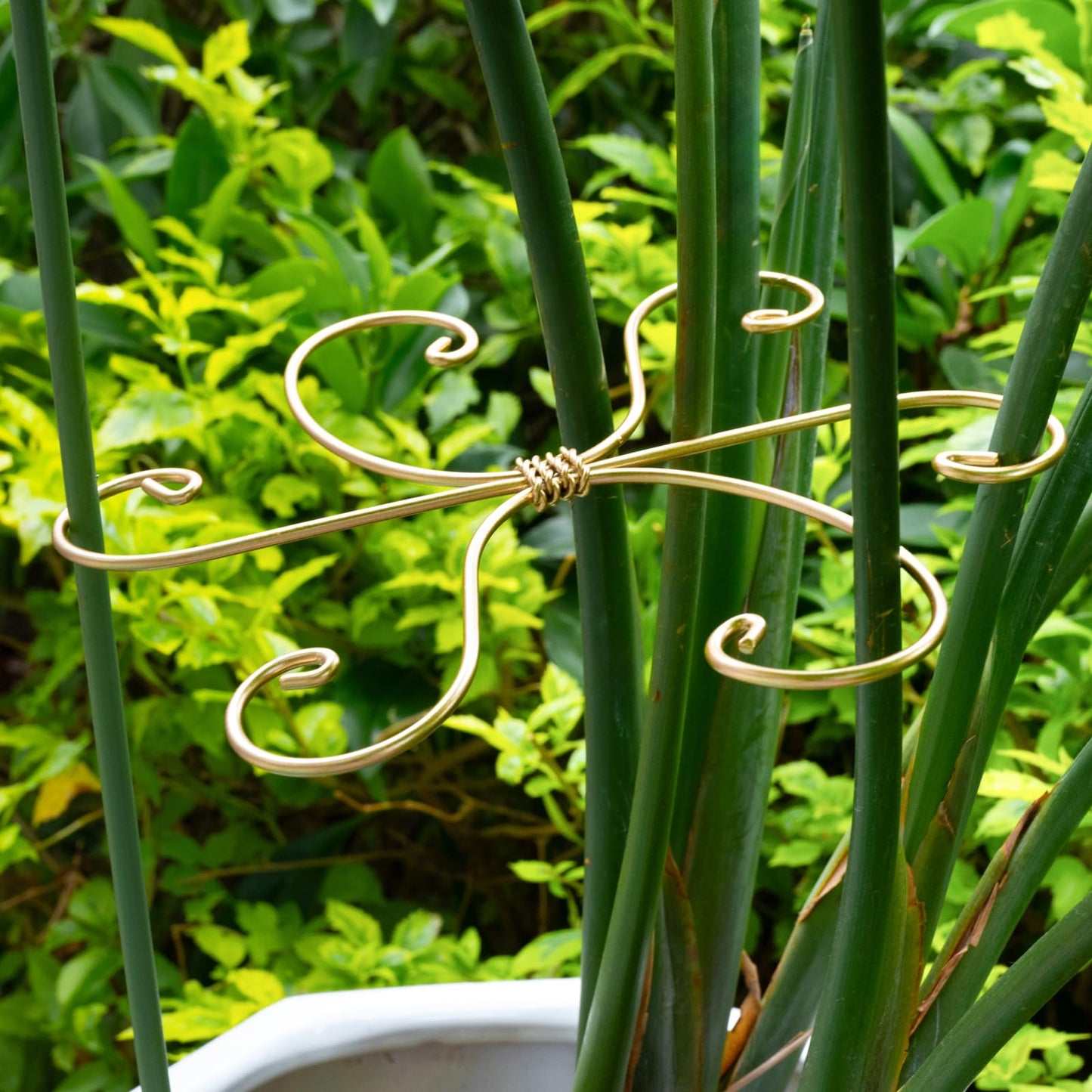 Yohsnor Monstera Plant Stem Support Set of 5 - Durable 7.5in Indoor Stabilizers for Fishbone Cactus - Enhances Growth & Home Decor - Ideal Plant Care Solution