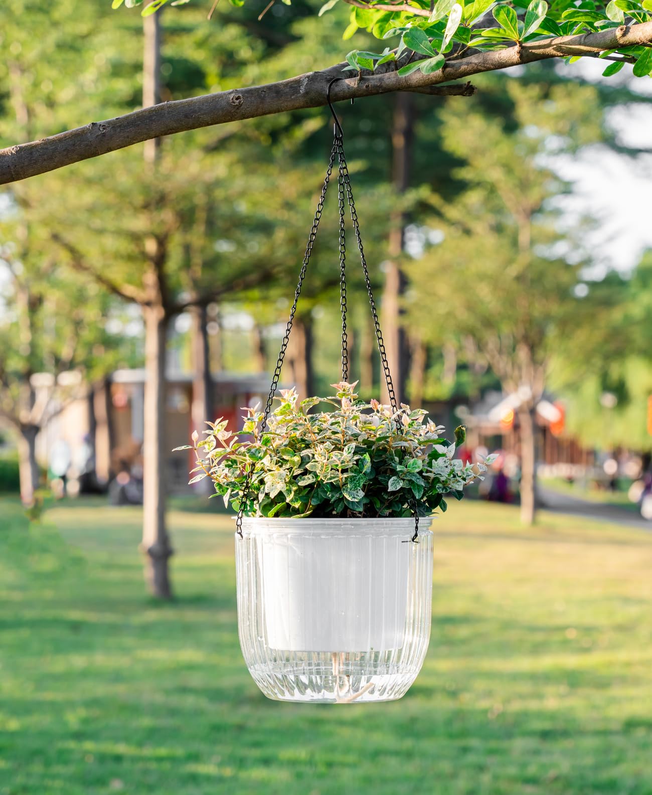 Melphoe 1 Pack Self Watering Hanging Planters Indoor Flower Pots, 8.3 Inch Outdoor Hanging Plant Pot Basket, Plant Hanger with 3Hooks Drainage Holes for Garden Home