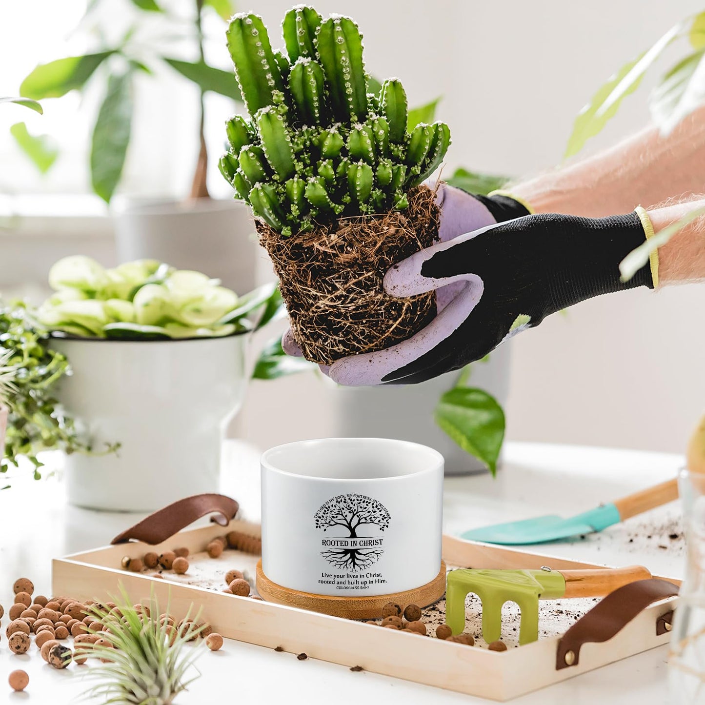 Sieral 6 Pcs Fathers Day Christian Rooted in Christ Small Succulent Pots with Bamboo Tray - 3.15 Inches Mini Ceramic Succulent Planter for Dad Religious Spiritual Bible Gifts, Plants Not Included