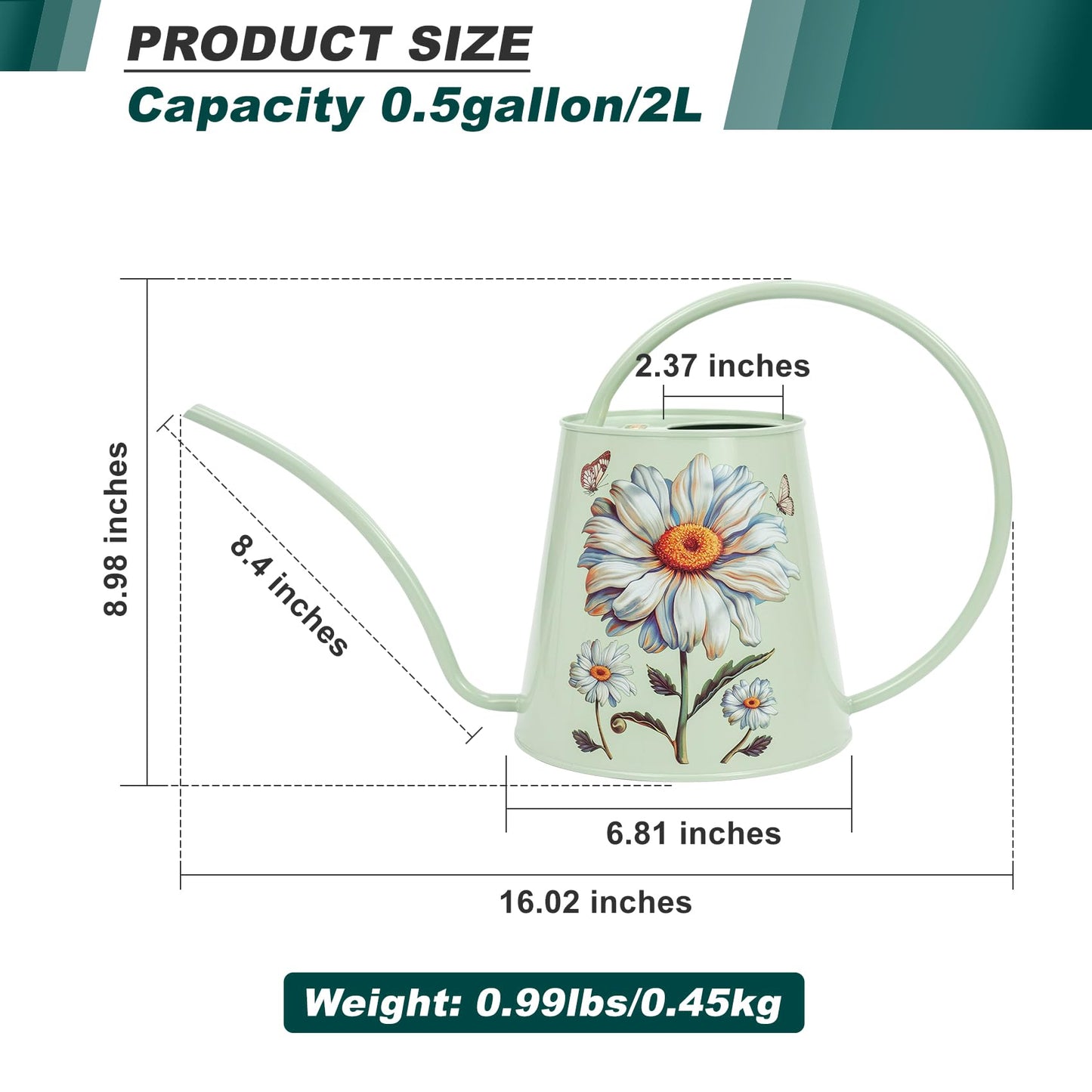 Berry&Bird House Plants Watering Can - Indoor&Outdoor 1/2 Gallon Stainless Steel Water Can with Long Spout Garden Decoration for Flower Bonsai Succulent Gardening Large Water Bottle (Bellis Perennis)