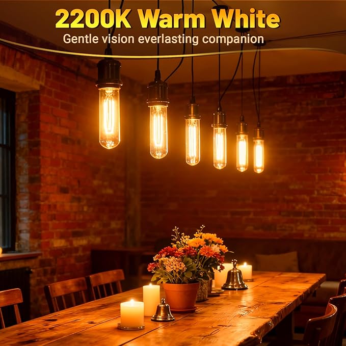 T10 Tubular Light Bulbs 25 Watt Incandescent Light Bulb, T10 Bulb, 120V 25W