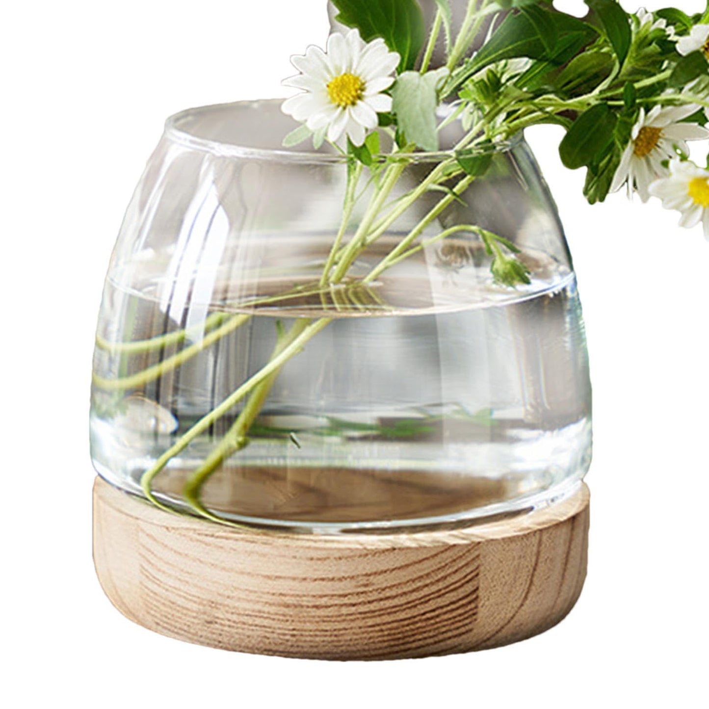 Hydroponic Plant Vase - durablee Transparent Glass Fish Bowl with Wooden Stand, Wide Mouth Terrarium Vase | Comfortable Hydroponic Plant Terrarium, Clear Hydroponic Planter for Home Decoration