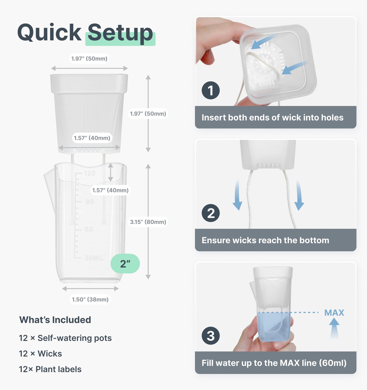 Vandorelle 12 Pack 2" Mini Self Watering Pots for Indoor Plants,Small Clear Plastic Planters,Alocasia Corm Propagation,African Violet,Cutting,Seeding,Water Level Indicator,Drainage Hole,12 Plant Label